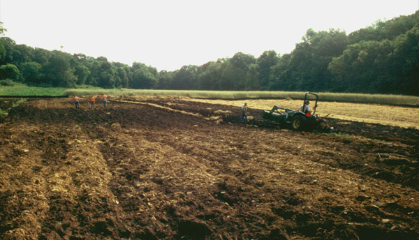 Archaeologists at work