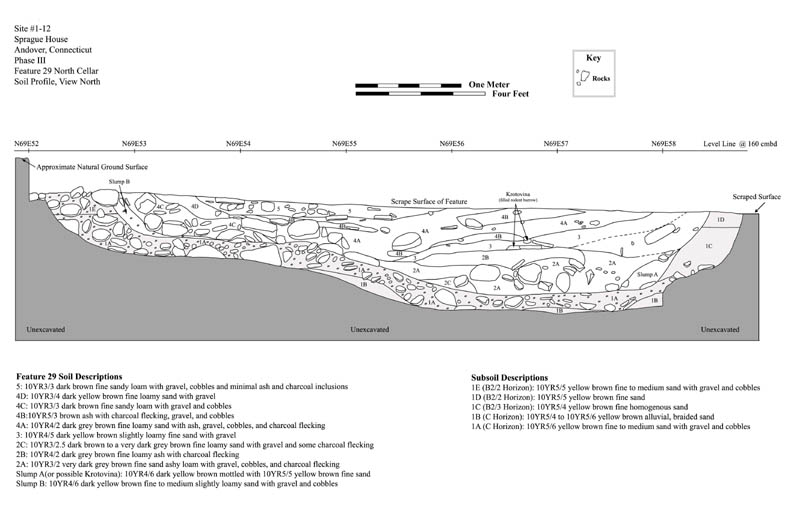 North cellar profile