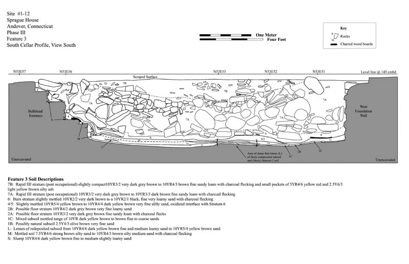 South cellar profile